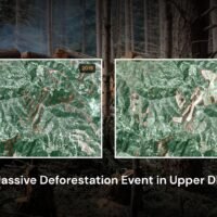 Massive Deforestation Event in Upper DIR.jpg