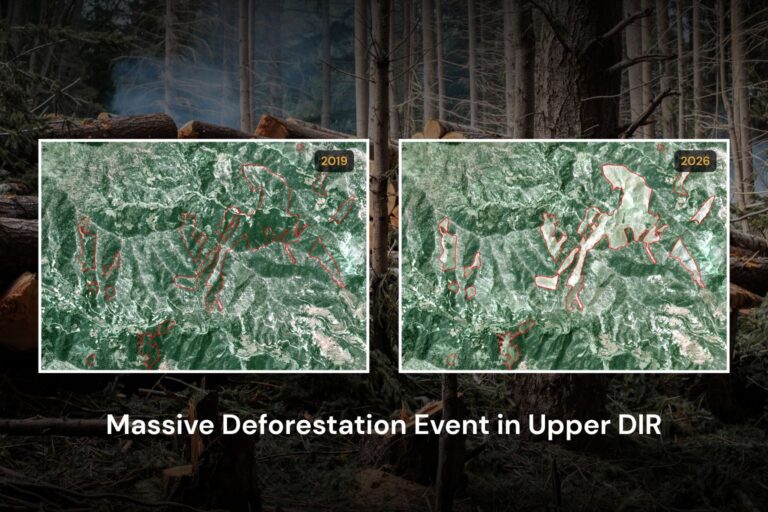Massive Deforestation Event In Upper Dir